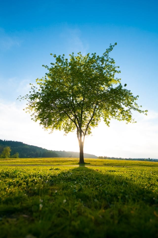 Bertambah Besar | Lukas 2: 52