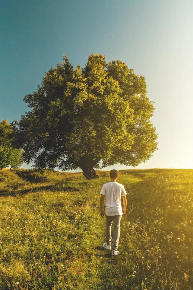 BERBAHAGIALAH ORANG YANG TIDAK BERJALAN MENURUT NASEHAT ORANG FASIK | Mazmur 1:1-6 | Pdt. Frany P Kuron, S.Th