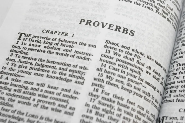 HIKMAT DAN KEBENARAN | AMSAL 14:33-35